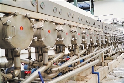 “工廠+基地”為特色產業發展賦能