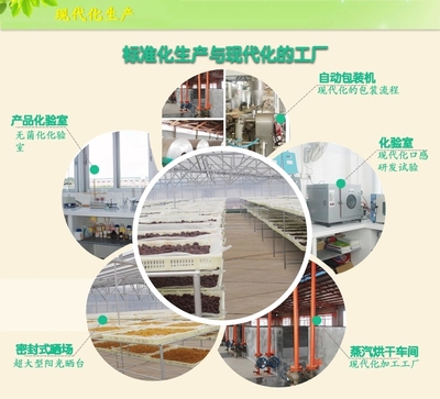 【同享】食品嶺南特色廣式加應子蜜餞果脯涼果類零食125g×10【全國包郵】